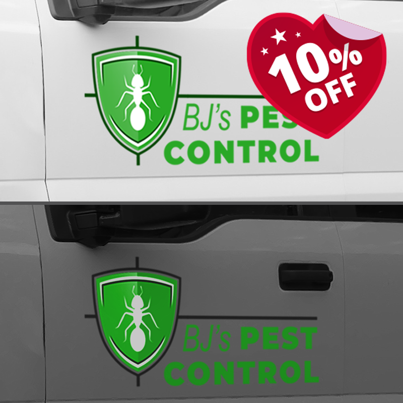 Vehicle Reflective Vinyl